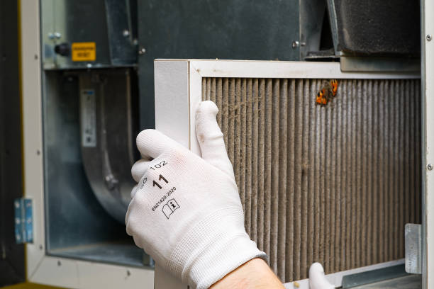 Best HVAC Air Duct Cleaning  in New Boston, TX