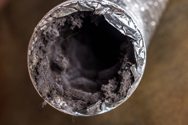 Best Affordable Duct Cleaning Services  in New Boston, TX